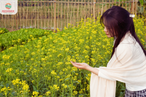 Trải nghiệm vườn rau tại Đảo Sông Hồng – Hoạt động xanh cho trẻ em