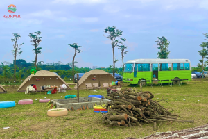 Đảo Sông Hồng - địa điểm picnic Hà Nội gần trung tâm