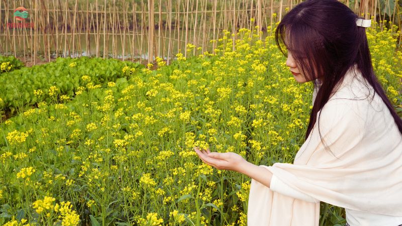 trai-nghiem-vuon-rau-vuon-hoa