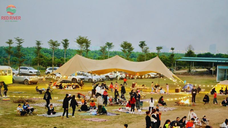 dao-song-hong-mua-dong